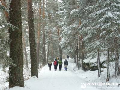 Ruta arroyo de la Chorranca; iniciacion al senderismo; rutas de senderismo en la pedriza